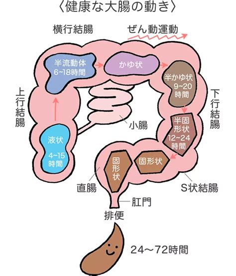 大腸方向